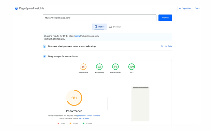 A screenshot of Google PageSpeed Insights results for The Holdings Co.'s website