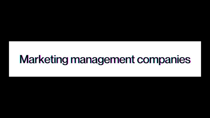 Redefining the Marketing Management Company in 2025