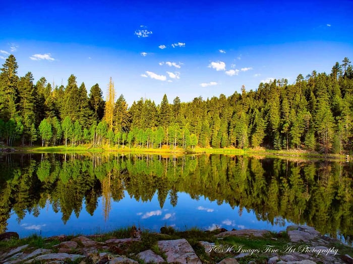 Early Morning Light Reflections