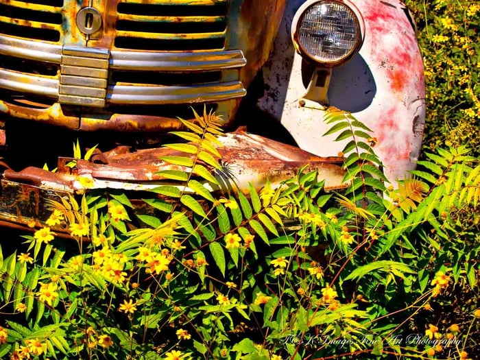 1950s REO Comet in Bloom
