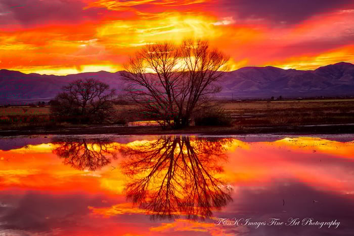 Sunset Reflection from Whitewater Draw, Arizona