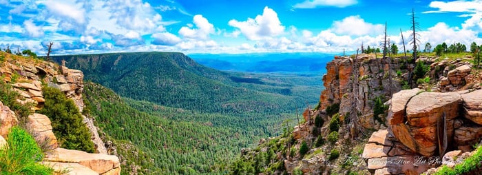 Mogollon Rim Overlook