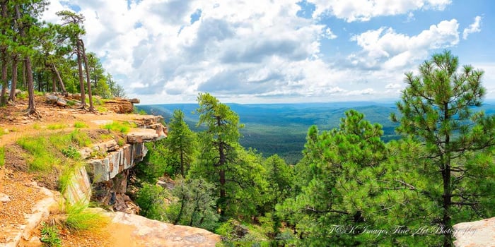 Mogollon Rim Lakes Vista