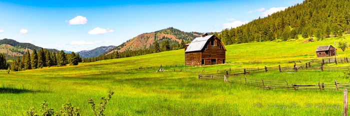 Aging Cattle Ranch Barn