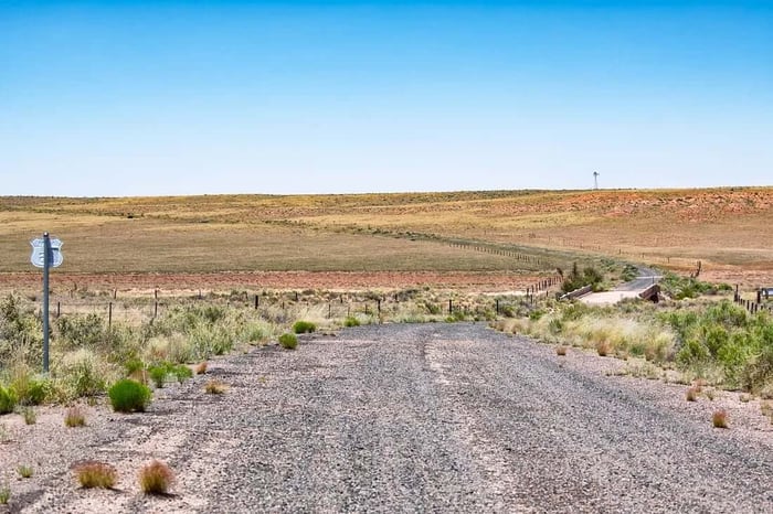 The Road to the Petrified Forest