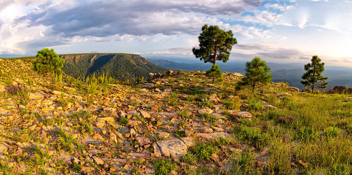 Rock Garden - Mogollon Rim