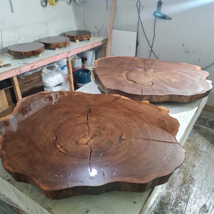 Multi Sealer on elm rounds