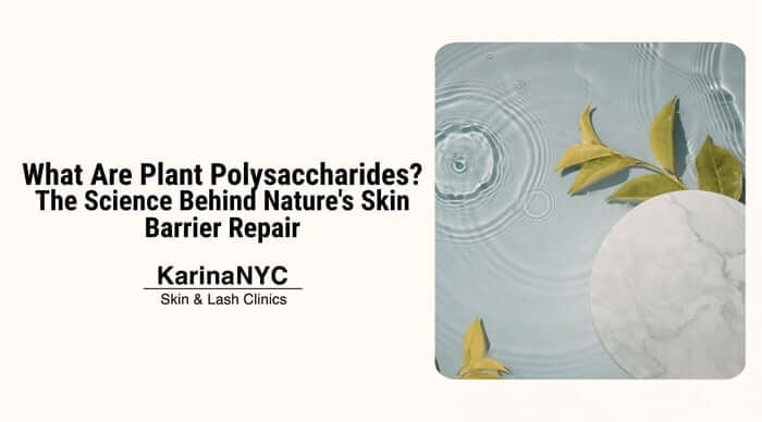 What Are Plant Polysaccharides? Nature's Skin Barrier Repair