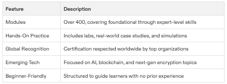 cybersecurity certification offers