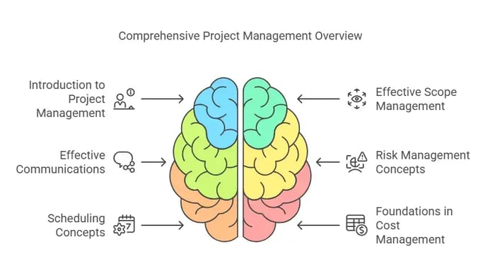 A brain-shaped graphic titled "Comprehensive Project Management Overview" with six sections, each highlighting a key area of project management.