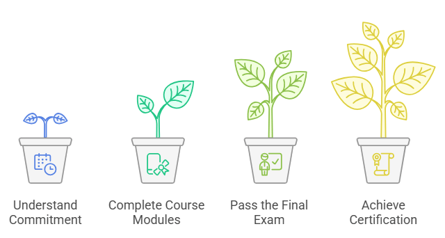What is the Google Project Management Certification?