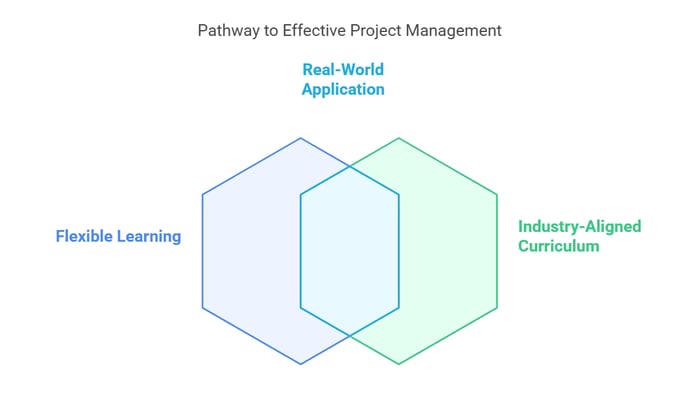 Image titled 'Pathway to Effective Project Management' featuring three overlapping hexagons.