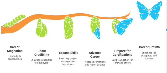 Transforming Your Career with a Udemy Project Management Certification