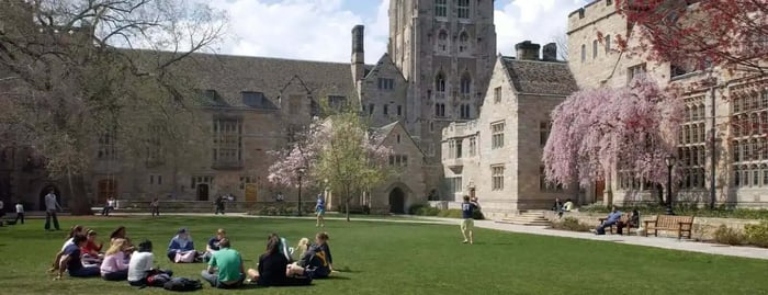 Universities Offering Project Management Certifications blog image.