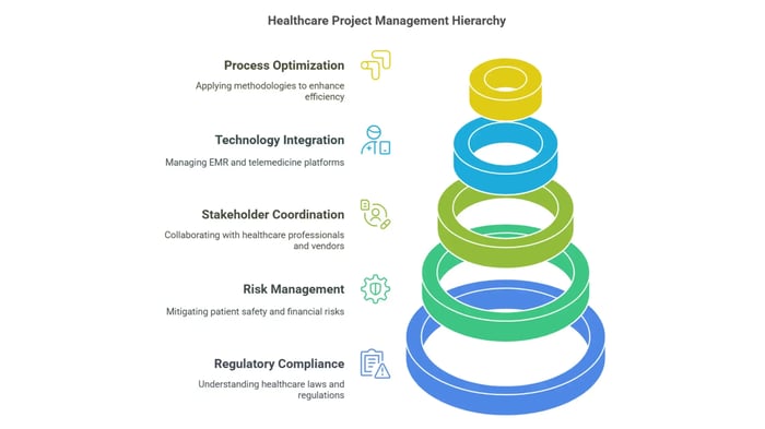 Healthcare Project Management Hierarchy.