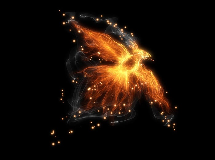The Phoenix