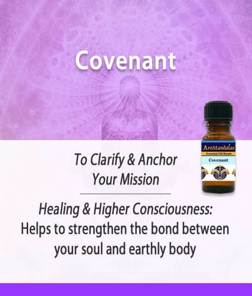 Dragons, Grids and the Hathors