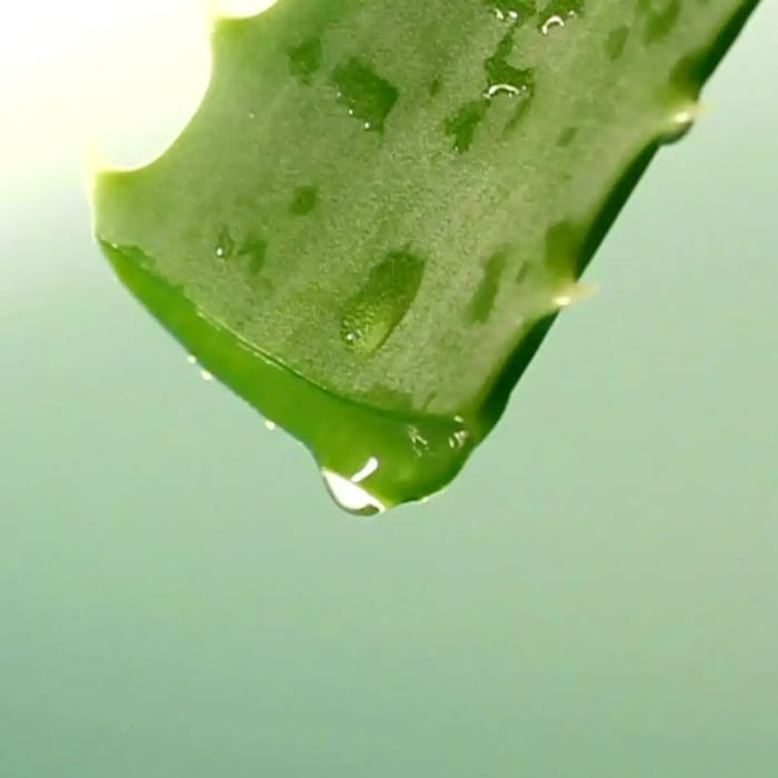 Aloe First: The Secret Behind Our Skin-Loving Formulas