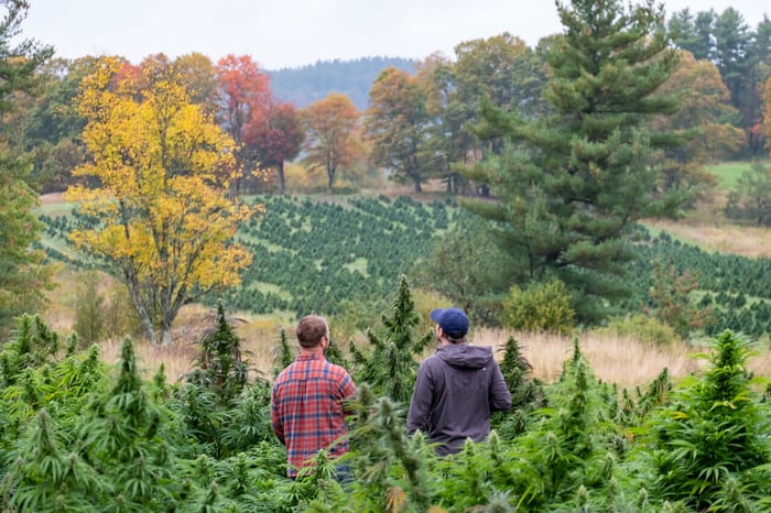 Know Your Farmer: Pete's Greens