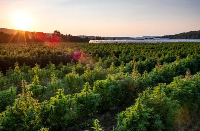 Delay of the USDA Hemp Pilot Program Rule: A little relief, a lot to recommend