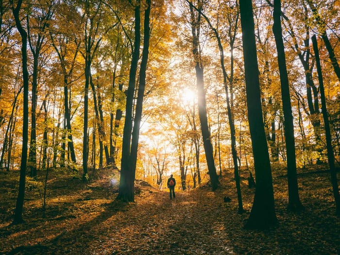 10 Ways to Support Your Mental Health