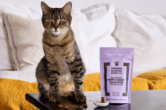 Cat with Hemp Calm Chewy Bites