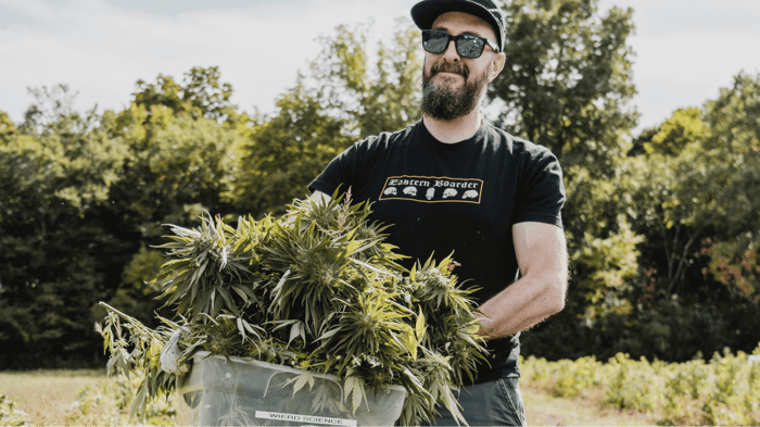 All About Organic CBD & Hemp in Vermont