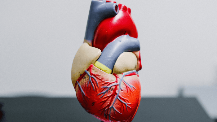 How to Lower High Blood Pressure