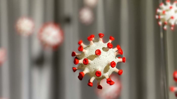 Potential Degradative Effects of Natto on COVID Spike Protein