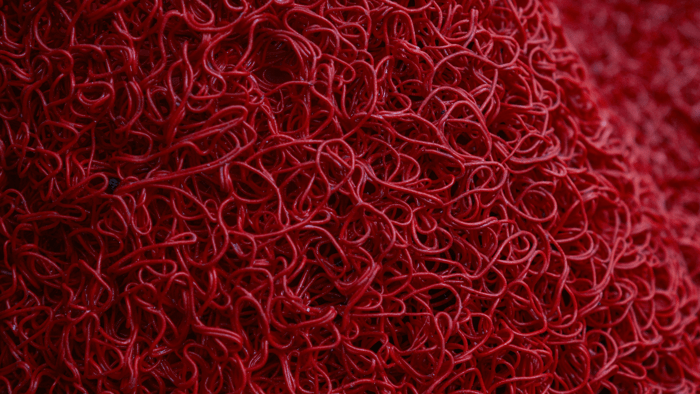 The Truth About Cholesterol