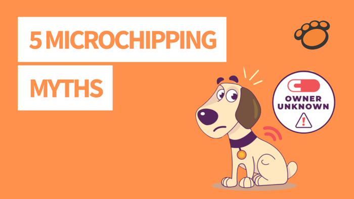 Microchipping Myths - Should I register my pet's microchip?
