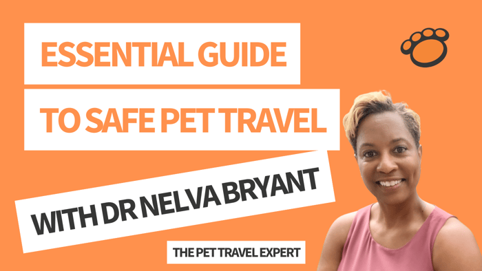 Essential Guide to Safe Pet Travel