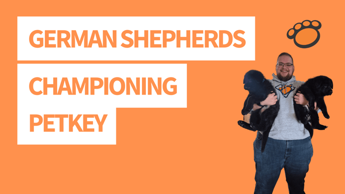 German Shepherds with a Purpose—and a Petkey Microchip