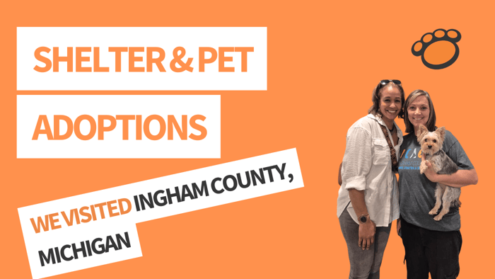 Ingham County Shelter: How Pet Microchips Reunite Lost Pets