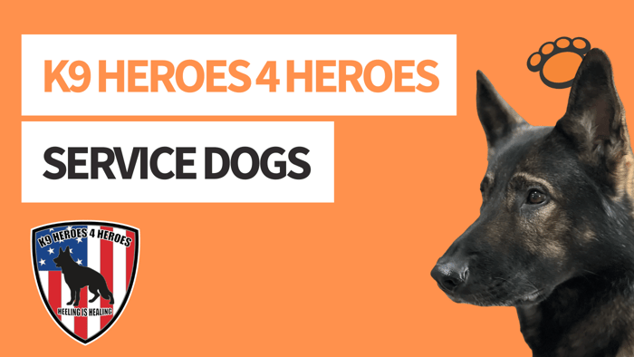 K9 Heroes 4 Heroes: Service Dogs