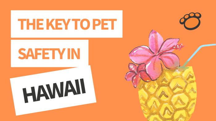 Microchip Registration - Hawaii
