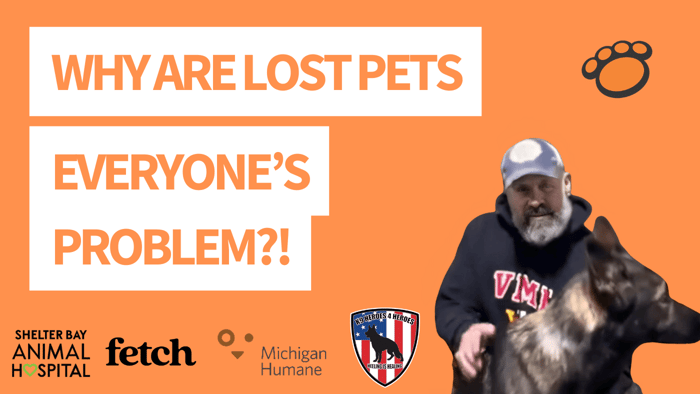 Why are lost pets everyone's problem?