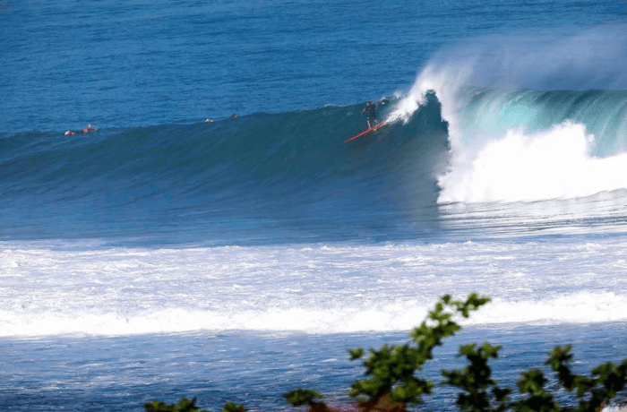 Felipe Pomar Surfing Life Till100