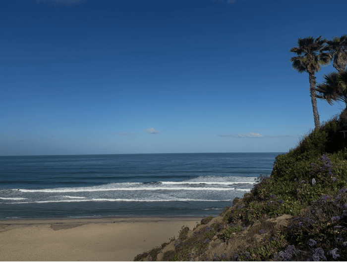 7 Top Influential Surfers you should know about