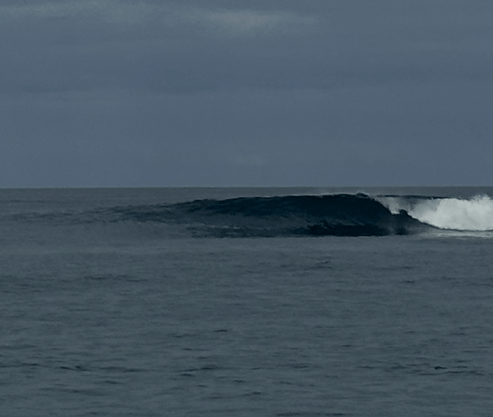 Surfing Pioneers Who believed that anything is possible