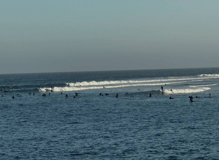 Think Waves Lifesaving Organization TWLO