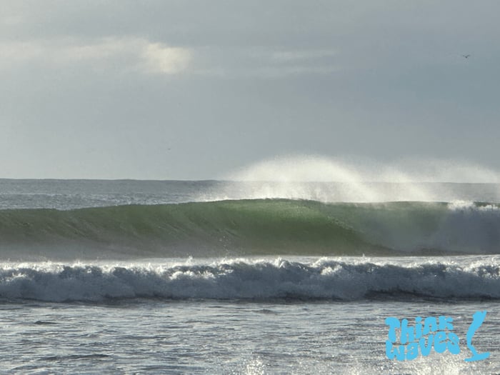 Introducing Think Waves Sustainable Fashions