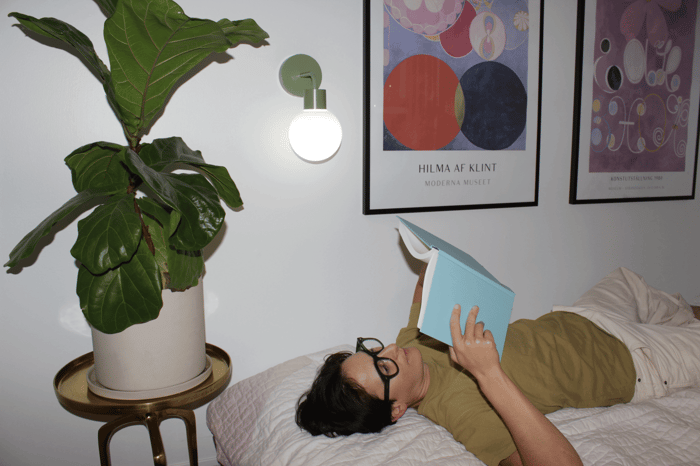 5 of the best renter-friendly products for your place