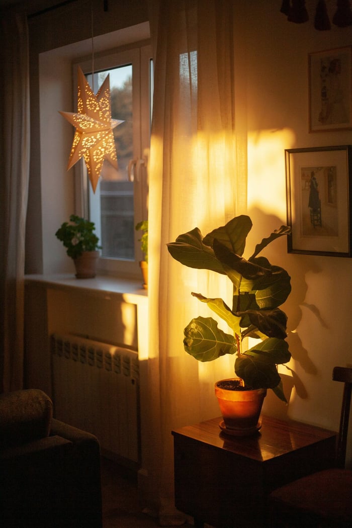 Warm lighting is the ultimate renter friendly upgrade.