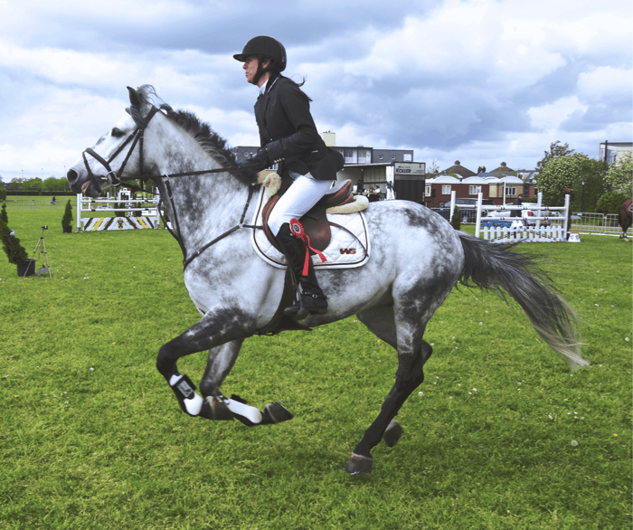 Rethinking Competition: Considering Your Horse
