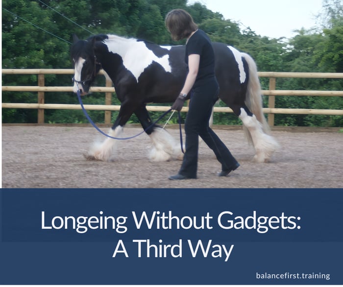 Longeing Horses In Balance Without Gadgets: A Third Way