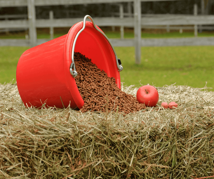 Horse Behaviour Problems Understanding Your Difficult Horse - diet