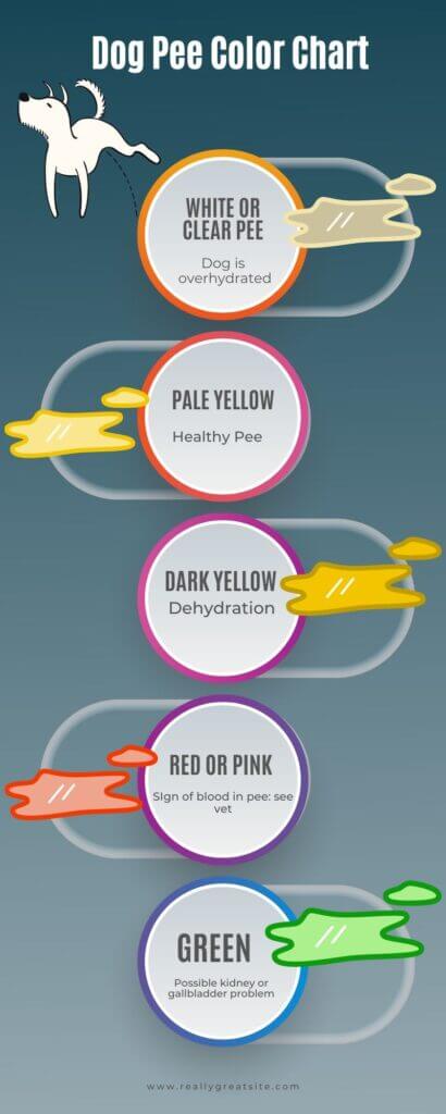 Dog Pee Color Chart