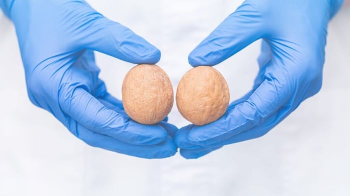 What Causes Testicles to Drop? Understanding Canine Testicle Descent Stages