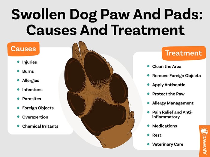 causes and treatment of swollen dog paw pads